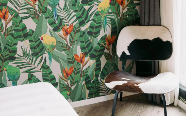 Collini Rooms