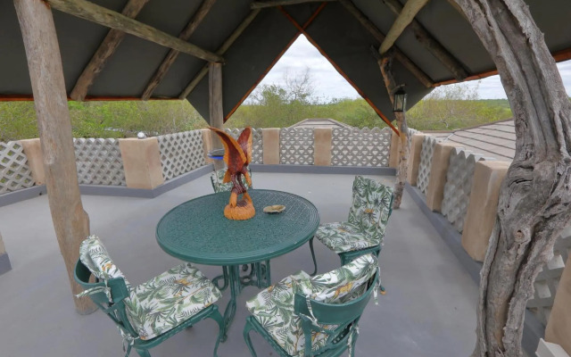 Oasis in the Wild @Marloth