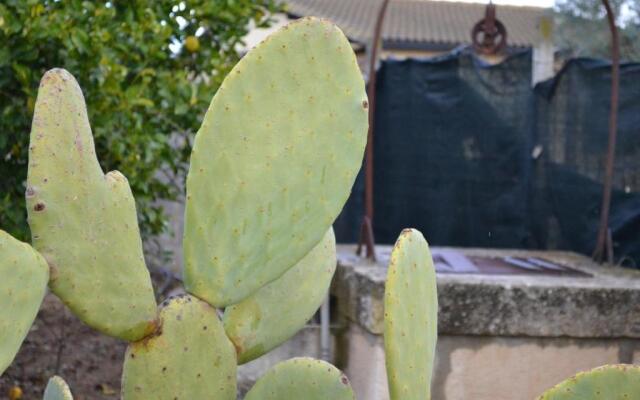 Villa Adriana B&B