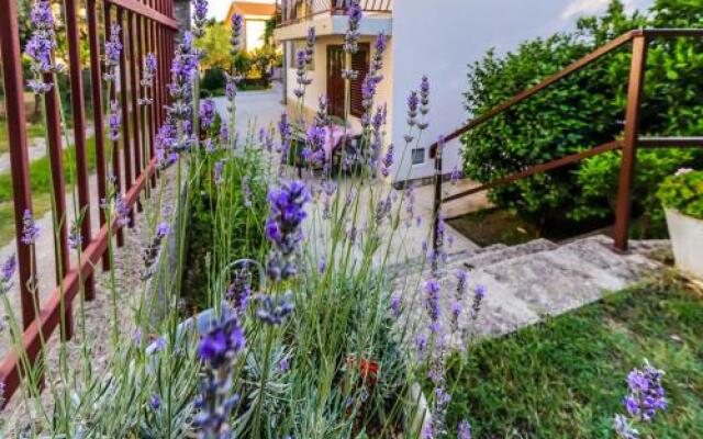 Apartment Cica