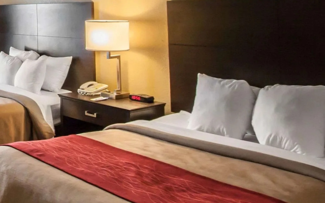 Comfort Inn Hayti