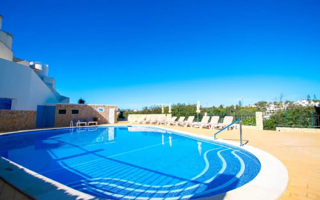 99B Hibiscus Monte Dourado