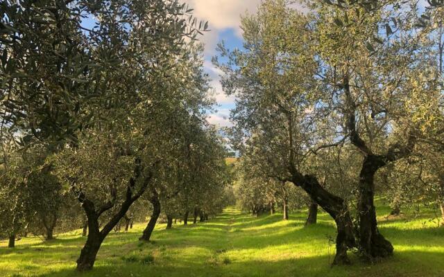 Podere Casato Hills View, Pool, Wifi Tuscany