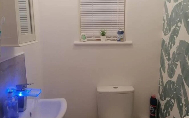 Pleasure Beach Apartment With Garden