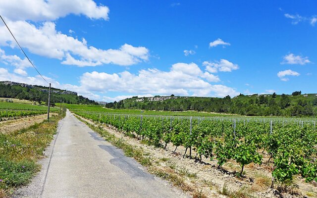 Les Vendanges
