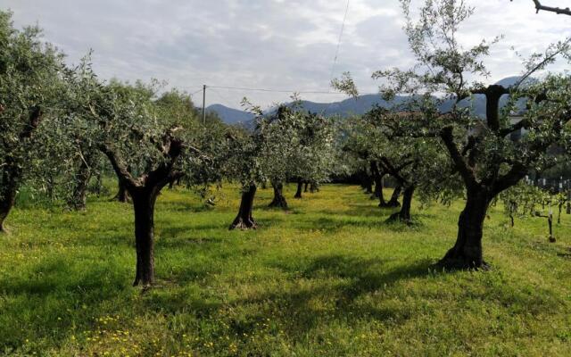Agriturismo La Vite Maritata