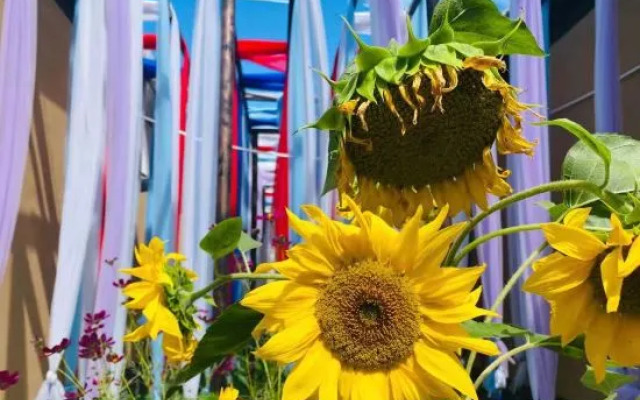 Tianxi Courtyard Hotel