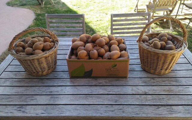 Domaine Saint Martin