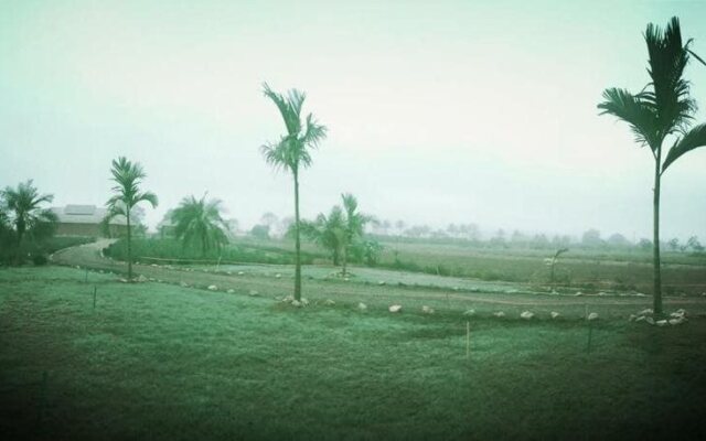 The Wes Village