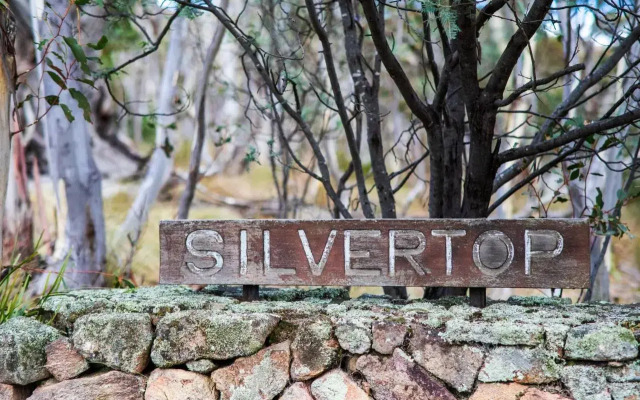 Silvertop Apartment
