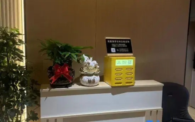 Zunyi Yusu Aesthetic Space Homestay
