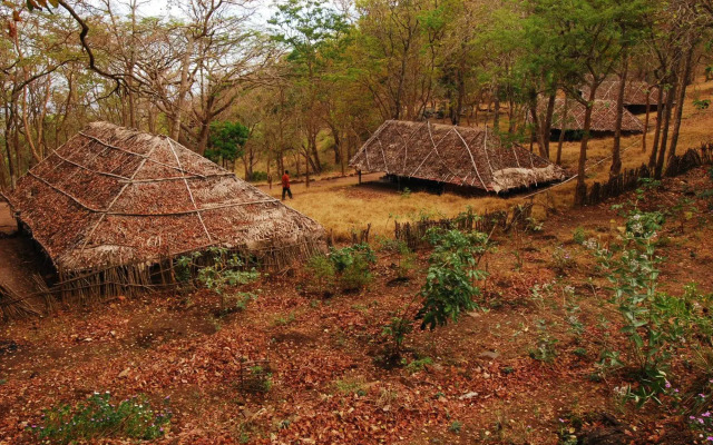 K. Gudi Wilderness Camp