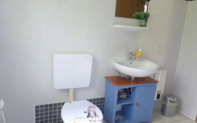 Alluring apartment in Frankenau with terrace