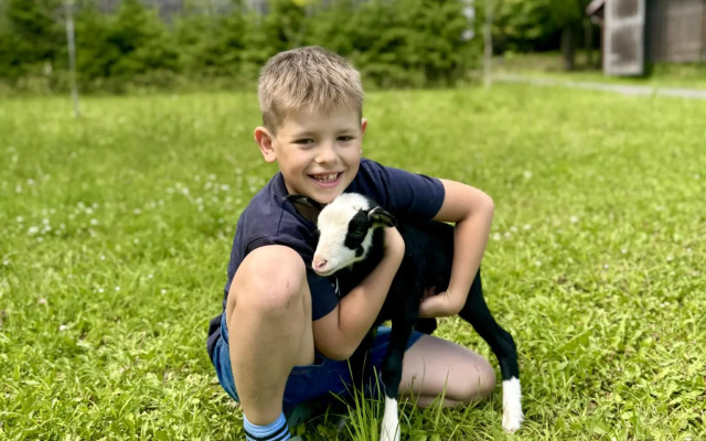 Дом на лесной опушке