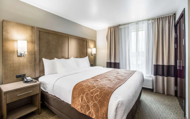 Comfort Suites Columbia I-65