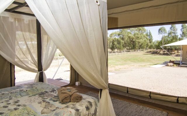 Dubbo Rhino Lodge