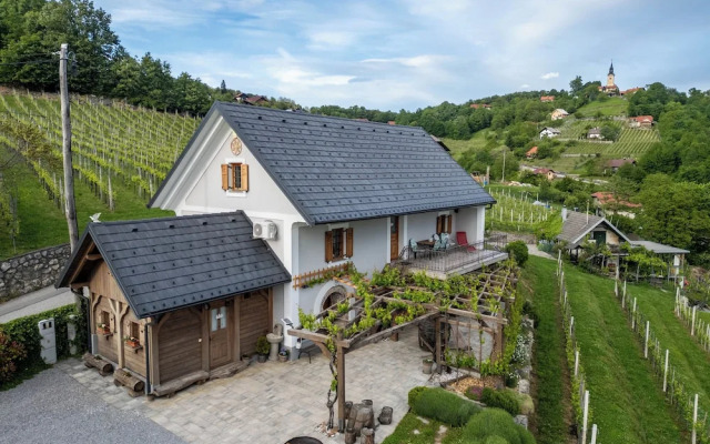 Vineyard cottage Kump