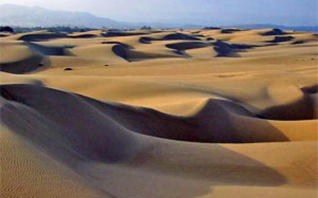The Grove at Pismo Beach