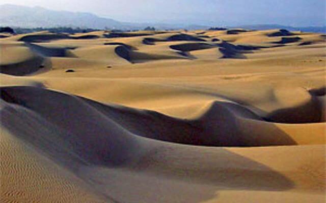 The Grove At Pismo Beach