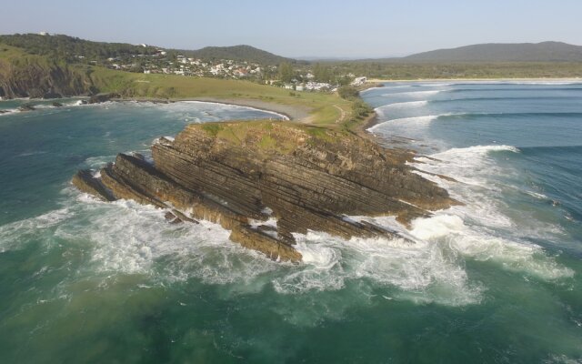 Sun Worship Crescent Head