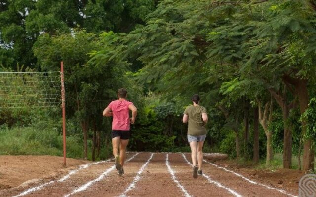 Lake Manyara Serena Safari Lodge