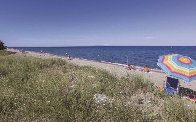 Captivating Linked Mediterranean Holiday Home in Corsica