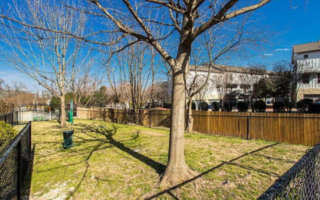 Convenient Condo Near Zilker & Barton Springs!