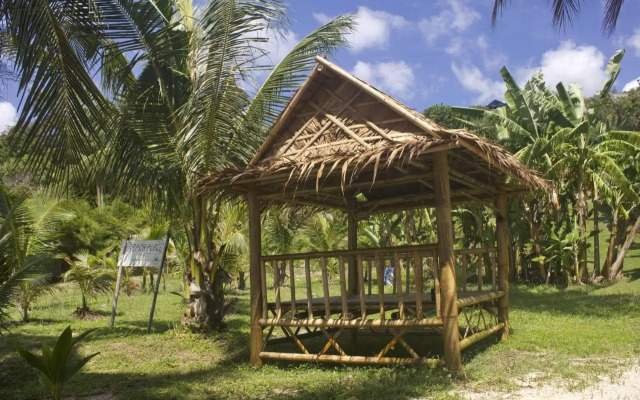 The Green Palm