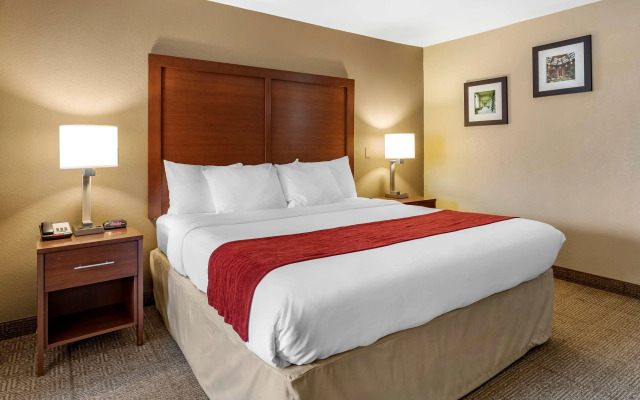 Comfort Inn Biltmore West