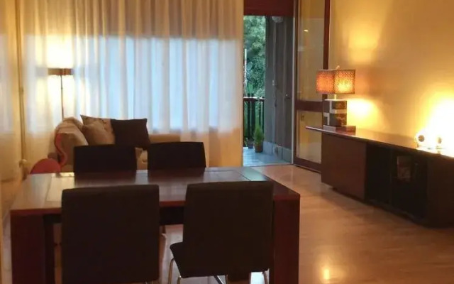 Il fenicottero rosa - Monteverde