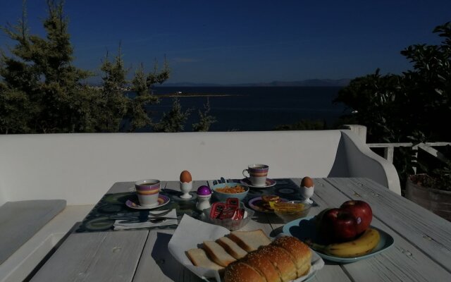Artemis Villa near Athens airport