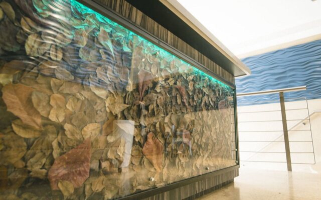 Ciqala Suites Hotel