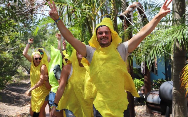 Cool Bananas Backpackers