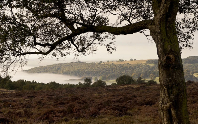 YHA Hathersage