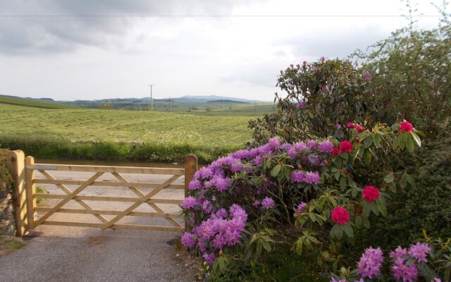 Bluebell Bank