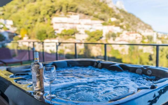 Monaco view, pool, garage, 100 m2 terrace