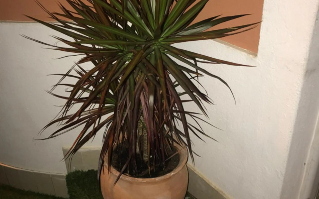 Sun Place Guest House