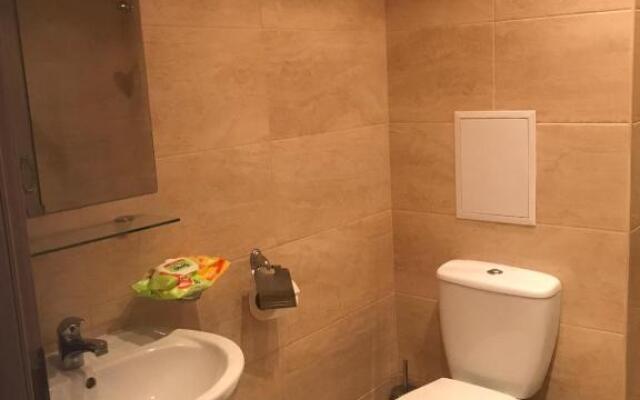 Reichenbach Apartment