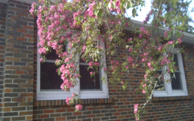 Susan's Sanctuary Bed & Breakfast
