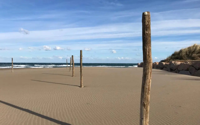 Apartaments La Palmera