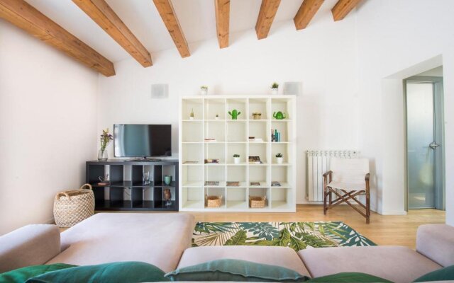 Loft with 2 Magic terraces in the city center