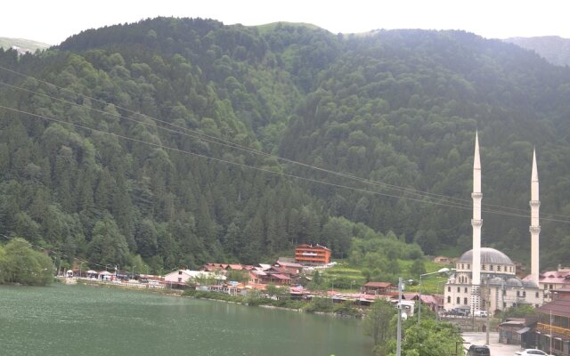 Uzungol Holiday Hotel 2