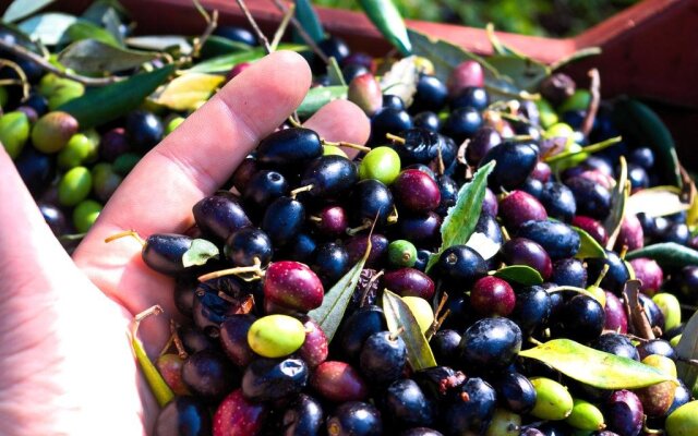 Lichiantidde Home & Breakfast