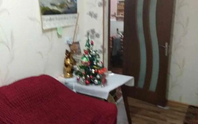 Guest House Dodo