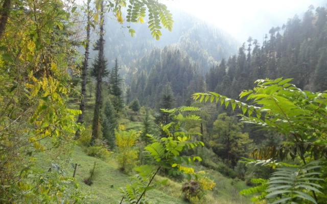 Natures Lap Resort Jibhi
