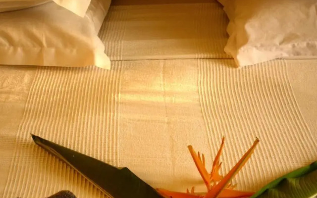 Studio Malacca et Malanga- Ô Cœur de Deshaies