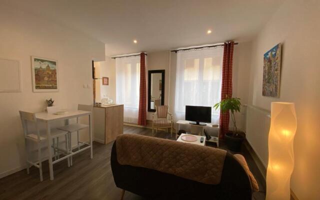 L'Ours de Colmar - Appartements en centre ville
