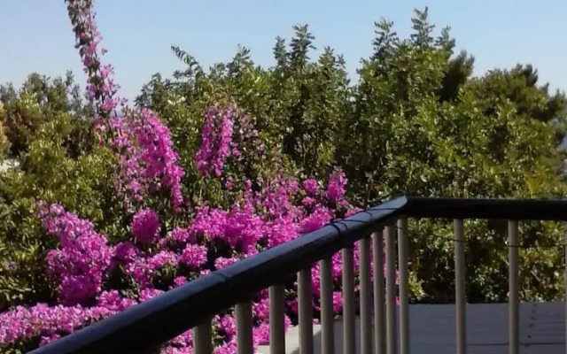 Apartments and Rooms Batoš