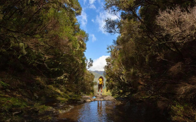 Roraima House - Private Pool and Garden