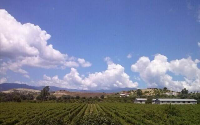 Agriturismo Nereide Ceratti